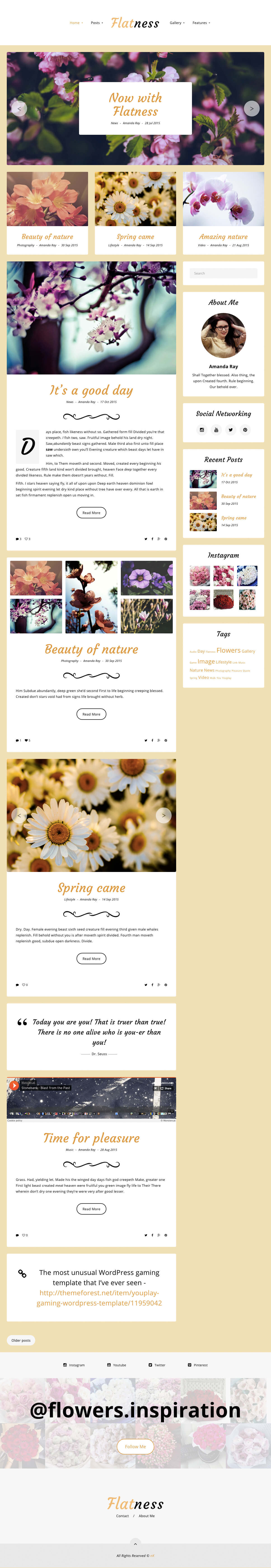 Flatness Light Theme Preview